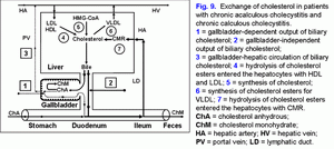 Cholesterol metabolism, chronic acalculous cholecystitis, chronic calculous cholecystitis
